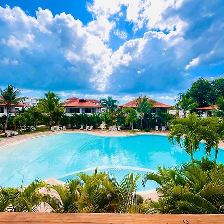 Paraiso باياهيبي المظهر الخارجي الصورة